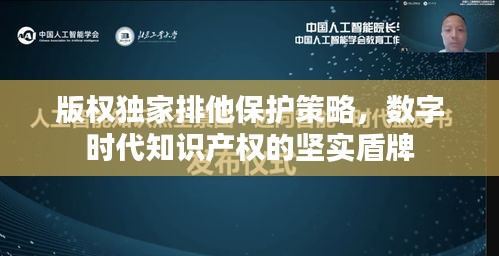 版權(quán)獨(dú)家排他保護(hù)策略，數(shù)字時(shí)代知識產(chǎn)權(quán)的堅(jiān)實(shí)盾牌