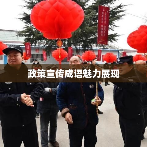 政策宣傳成語(yǔ)魅力展現(xiàn)