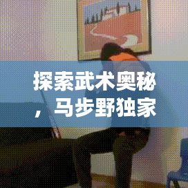 探索武術(shù)奧秘，馬步野獨(dú)家秘笈揭秘