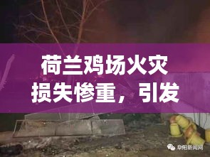 荷蘭雞場(chǎng)火災(zāi)損失慘重，引發(fā)社會(huì)關(guān)注熱議