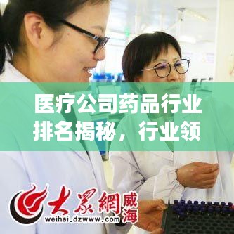 醫(yī)療公司藥品行業(yè)排名揭秘，行業(yè)領(lǐng)軍者的力量與影響力榜單重磅出爐！