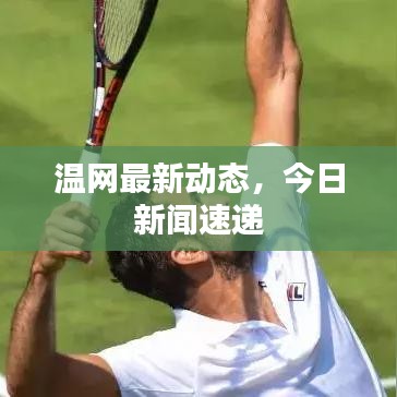 溫網(wǎng)最新動(dòng)態(tài)，今日新聞速遞