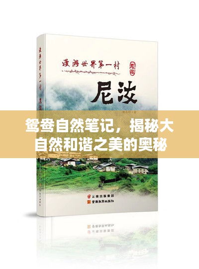 鴛鴦自然筆記，揭秘大自然和諧之美的奧秘