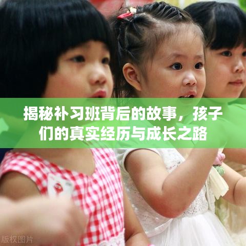 揭秘補習(xí)班背后的故事，孩子們的真實經(jīng)歷與成長之路