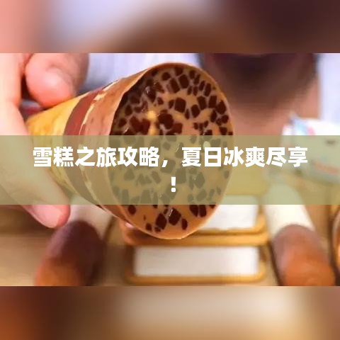 雪糕之旅攻略，夏日冰爽盡享！