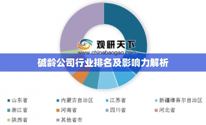 堿齡公司行業(yè)排名及影響力解析
