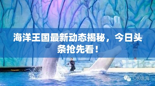 海洋王國(guó)最新動(dòng)態(tài)揭秘，今日頭條搶先看！