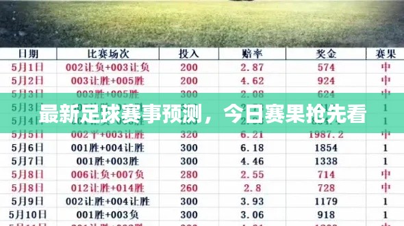 2025年3月10日