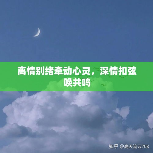 離情別緒牽動心靈，深情扣弦喚共鳴