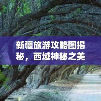 新疆旅游攻略圖揭秘，西域神秘之美探索之旅