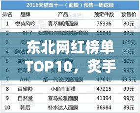東北網(wǎng)紅榜單TOP10，炙手可熱的網(wǎng)紅大咖揭秘！