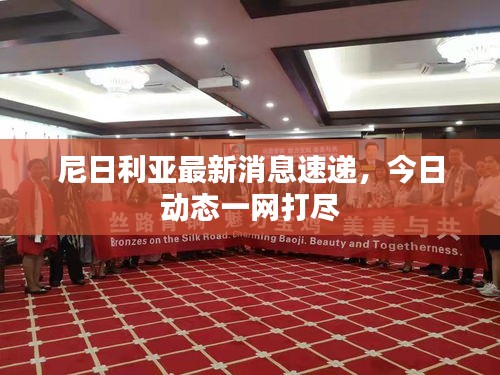 尼日利亞最新消息速遞，今日動態(tài)一網(wǎng)打盡