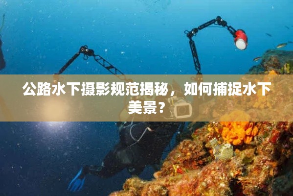 公路水下攝影規(guī)范揭秘，如何捕捉水下美景？