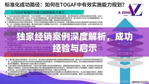獨(dú)家經(jīng)銷案例深度解析，成功經(jīng)驗(yàn)與啟示