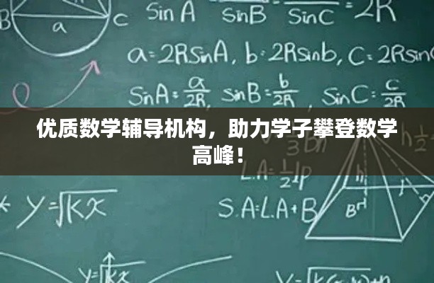 優(yōu)質(zhì)數(shù)學(xué)輔導(dǎo)機(jī)構(gòu)，助力學(xué)子攀登數(shù)學(xué)高峰！