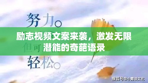 2025年3月12日 第5頁