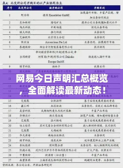 網(wǎng)易今日聲明匯總概覽，全面解讀最新動(dòng)態(tài)！