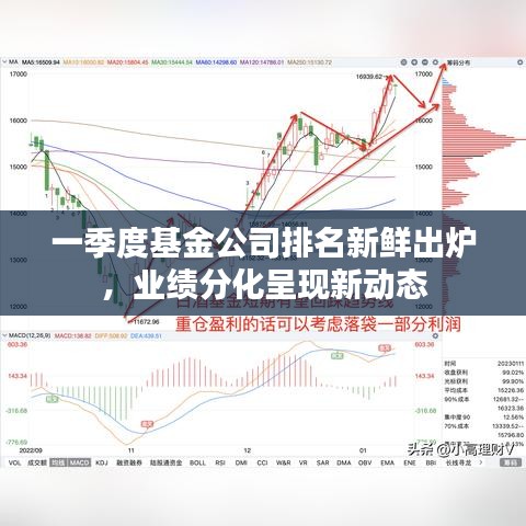 一季度基金公司排名新鮮出爐，業(yè)績(jī)分化呈現(xiàn)新動(dòng)態(tài)