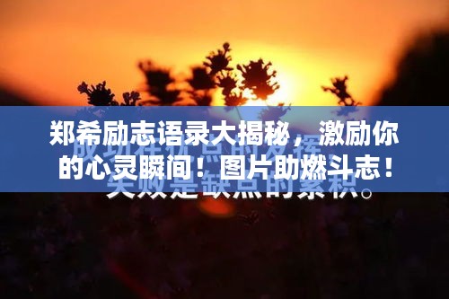 鄭希勵志語錄大揭秘，激勵你的心靈瞬間！圖片助燃斗志！