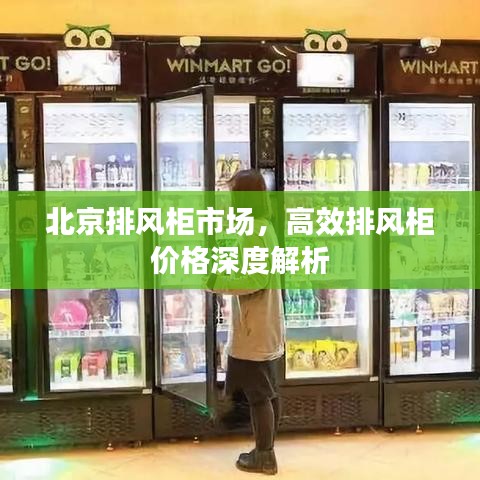 北京排風(fēng)柜市場(chǎng)，高效排風(fēng)柜價(jià)格深度解析