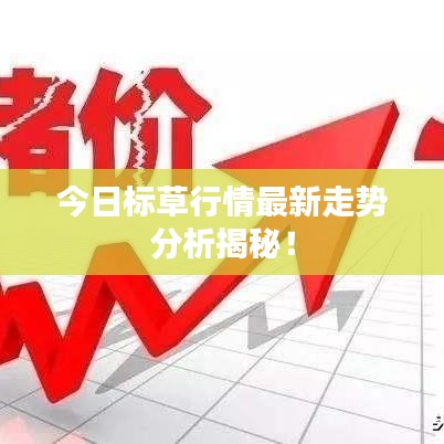 今日標(biāo)草行情最新走勢分析揭秘！