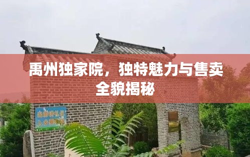 禹州獨(dú)家院，獨(dú)特魅力與售賣全貌揭秘
