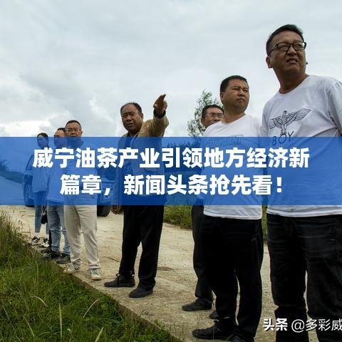 威寧油茶產(chǎn)業(yè)引領(lǐng)地方經(jīng)濟(jì)新篇章，新聞?lì)^條搶先看！
