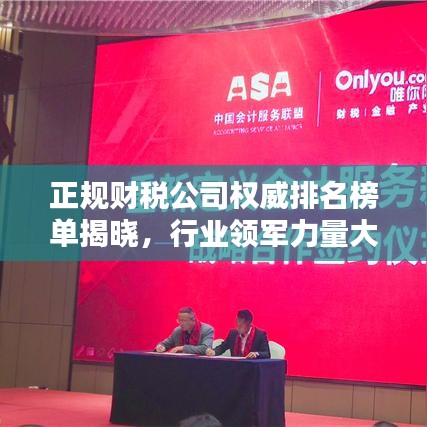 正規(guī)財稅公司權威排名榜單揭曉，行業(yè)領軍力量大揭秘！