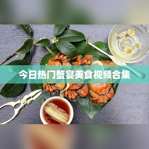今日熱門(mén)蟹宴美食視頻合集