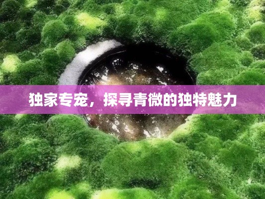 獨(dú)家專(zhuān)寵，探尋青微的獨(dú)特魅力