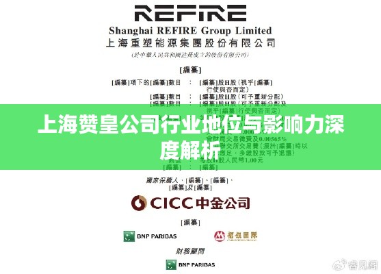 上海贊皇公司行業(yè)地位與影響力深度解析