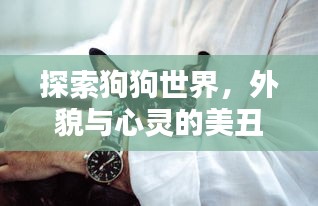 探索狗狗世界，外貌與心靈的美丑界限——全球最丑狗狗排行榜TOP未知