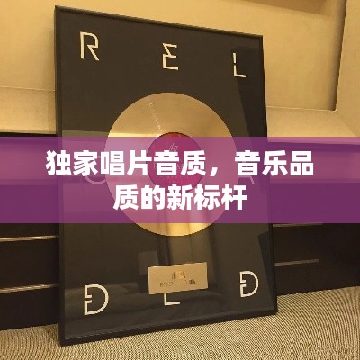 獨(dú)家唱片音質(zhì)，音樂(lè)品質(zhì)的新標(biāo)桿