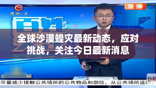 全球沙漠蝗災(zāi)最新動(dòng)態(tài)，應(yīng)對(duì)挑戰(zhàn)，關(guān)注今日最新消息