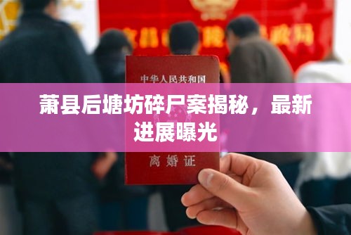 蕭縣后塘坊碎尸案揭秘，最新進(jìn)展曝光