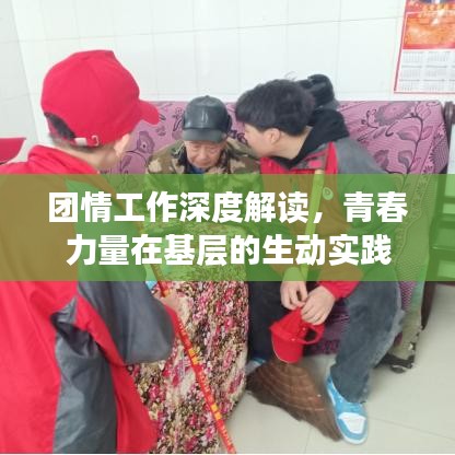 團情工作深度解讀，青春力量在基層的生動實踐