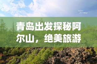 青島出發(fā)探秘阿爾山，絕美旅游攻略讓你流連忘返！