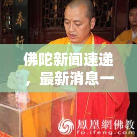 佛陀新聞速遞，最新消息一覽