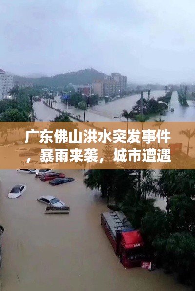 廣東佛山洪水突發(fā)事件，暴雨來襲，城市遭遇水患挑戰(zhàn)