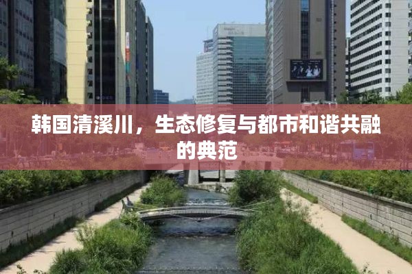 韓國清溪川，生態(tài)修復(fù)與都市和諧共融的典范