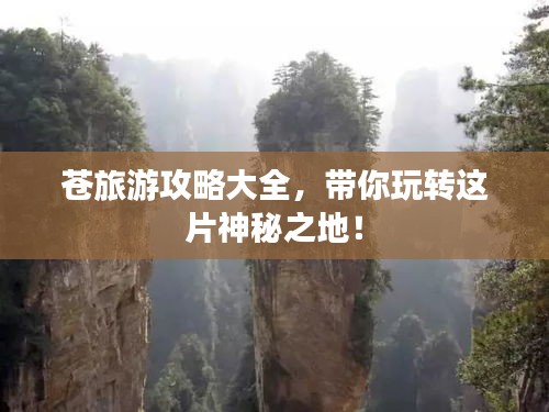 蒼旅游攻略大全，帶你玩轉這片神秘之地！
