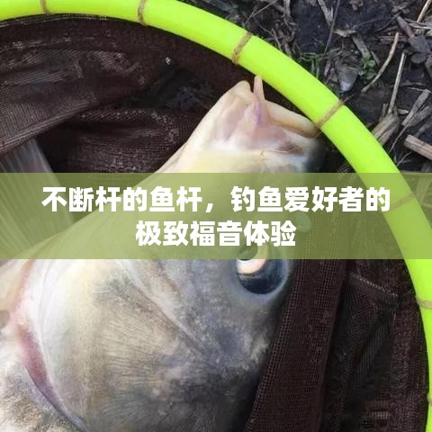 不斷桿的魚桿，釣魚愛好者的極致福音體驗(yàn)