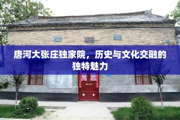 唐河大張莊獨(dú)家院，歷史與文化交融的獨(dú)特魅力