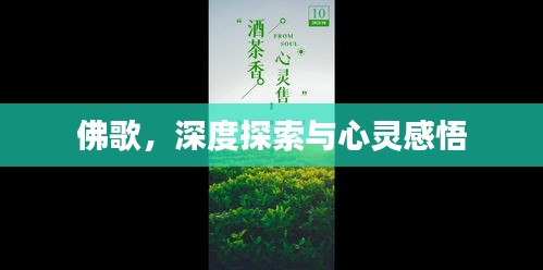 佛歌，深度探索與心靈感悟