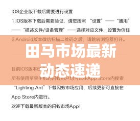 田馬市場(chǎng)最新動(dòng)態(tài)速遞