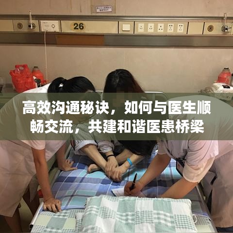 高效溝通秘訣，如何與醫(yī)生順暢交流，共建和諧醫(yī)患橋梁