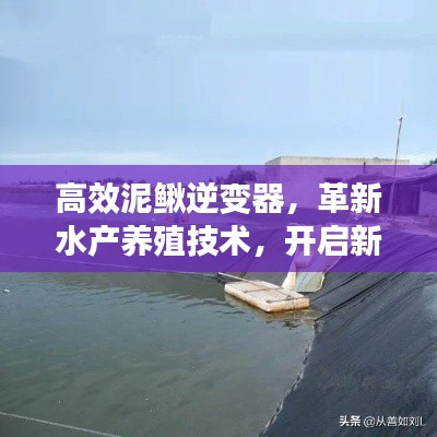 高效泥鰍逆變器，革新水產(chǎn)養(yǎng)殖技術(shù)，開啟新時(shí)代篇章
