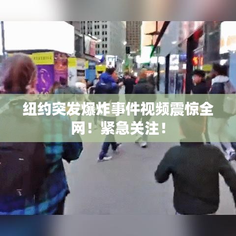 2025年3月 第8頁