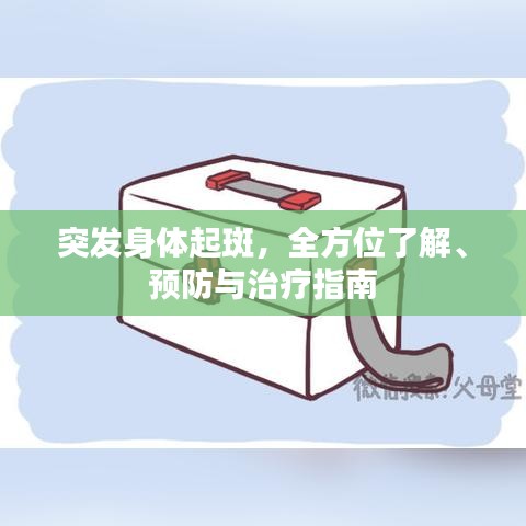 突發(fā)身體起斑，全方位了解、預(yù)防與治療指南