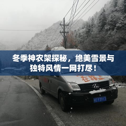 冬季神農(nóng)架探秘，絕美雪景與獨特風(fēng)情一網(wǎng)打盡！